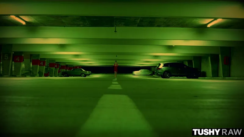 阿贝拉·丹杰，性感尤物，阴部湿润，双穴被钻入视频