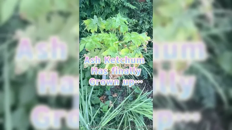 Asianbunnyx Thick Baby Masturbating Squirting While Dildo Fuck OnlyFans Video