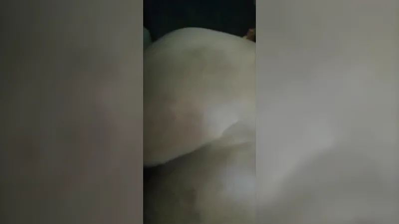 Kulhad Pizza Couple Viral Juicy Pussy Fucking Leak Sex Video