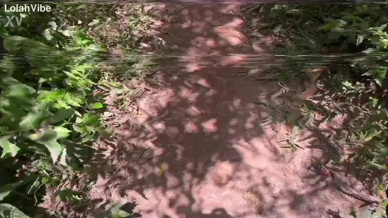 Lolah Vibes Fucking Sexed Up On The Riverbank Outdoor Fuck