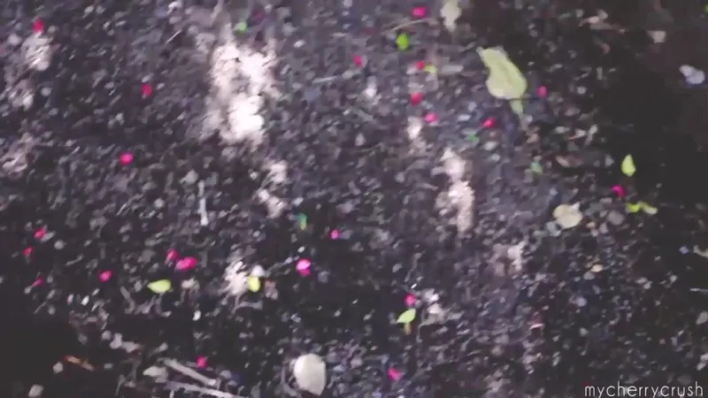 MyCherryCrush Giving Sloppy Outdoor Blowjob Video