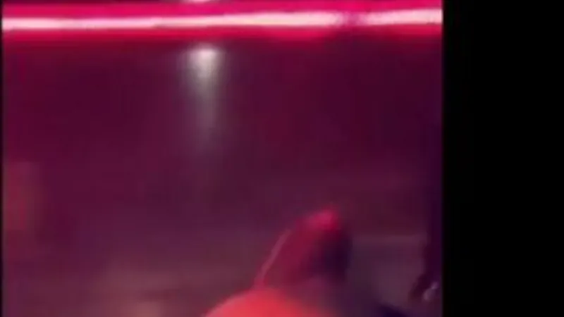 Madison Beer Bares All in Leaked Nude Pics & Sex Tape Video