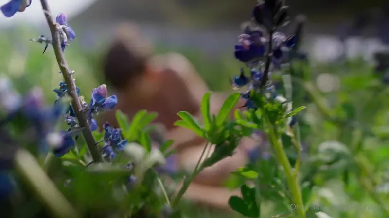 Anna Ralphs Wild Outdoor Fuck Video Leaked