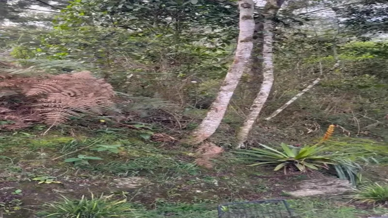 Mady Gio Teases Her Huge Melons in Leaked Private DM Porn Video