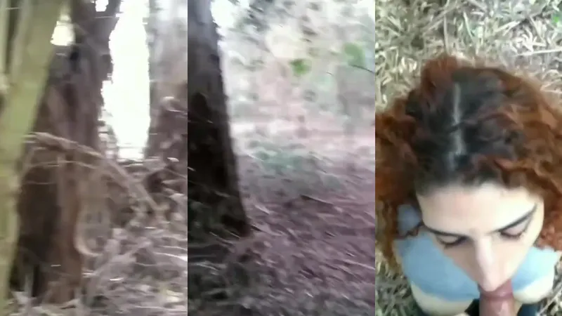 Be careful if you get lost in the forest