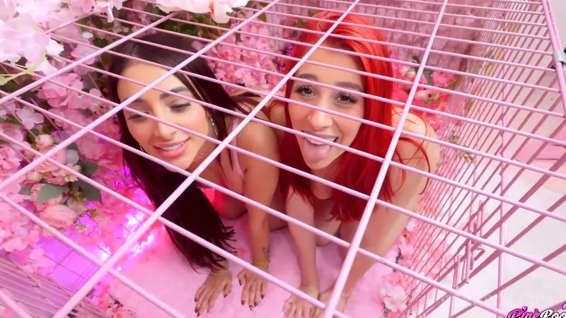 Zoey Di Giacomo And Jessica Sodi Enjoy Hard Cock In A Pink Boudoir