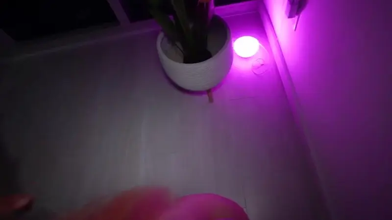 Dixie Lynn Gets A Surprise Visitor Tonight