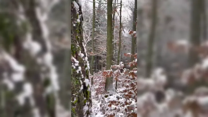 Sophielaurenxxo Sucking A Cock In Snow Winter Outdoor OnlyFans Video