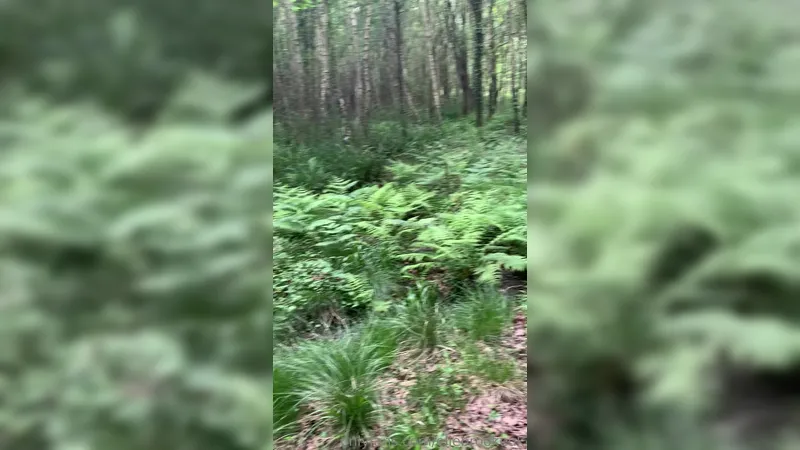 Elle Brooke Giving a Drooling Blowjob In The Middle Of The Thicket
